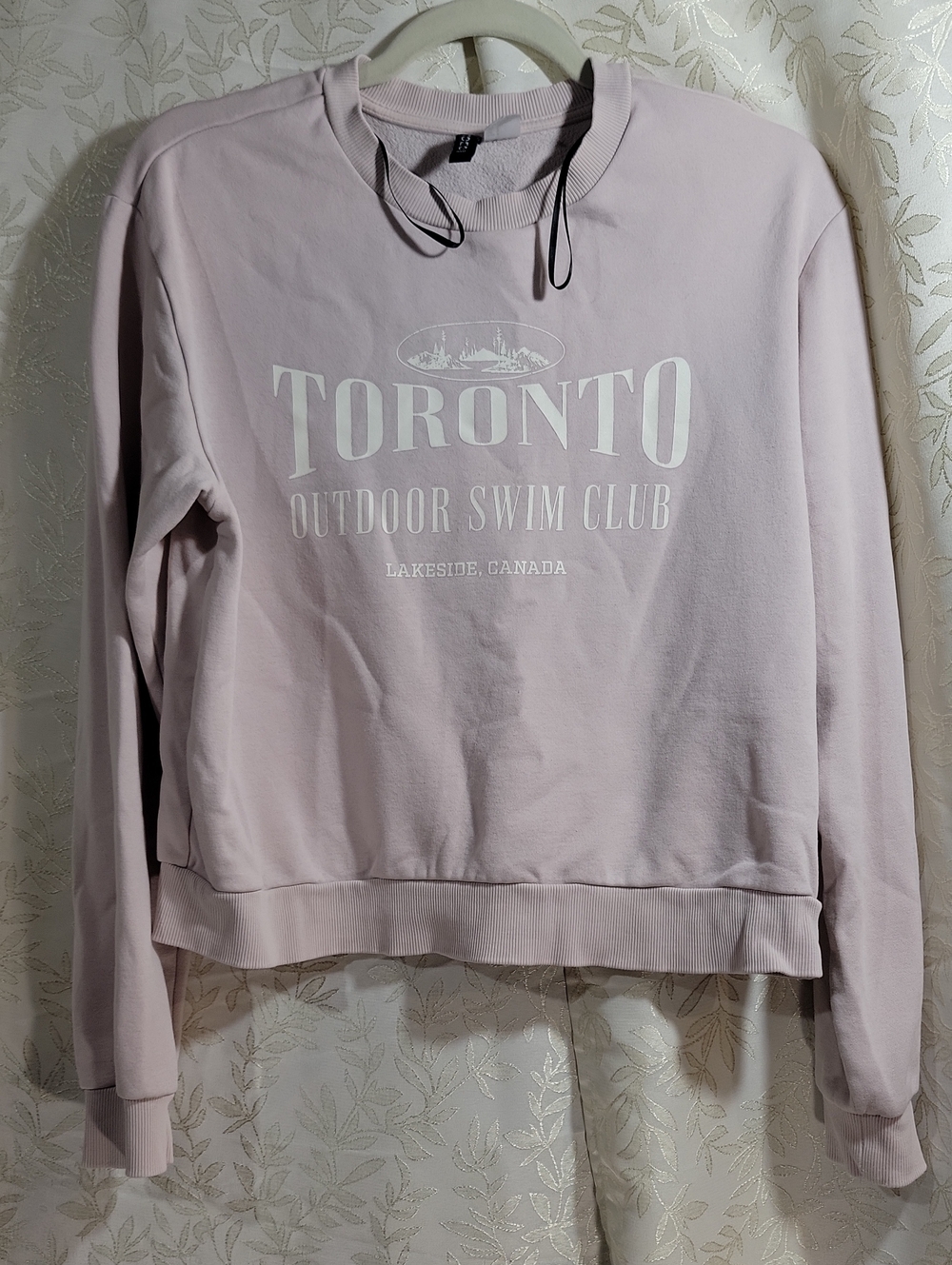 H&M Pale Pink Toronto Outdoor Swim Club Crewneck Sweatshirt